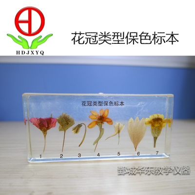 花冠類型保色標(biāo)本